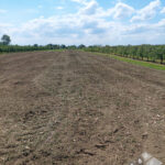 mulczer leśny czyszczenie dzialek agropark efekry pracy (4)