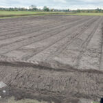 czyszczenie dzialek agropark efekty pracy