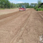 mulczowanie czyszczenie dzialek agropark mulczowanie