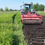 mulczowanieagropark sandomierz, tarnobrzeg, stalowa wola prace ziemne