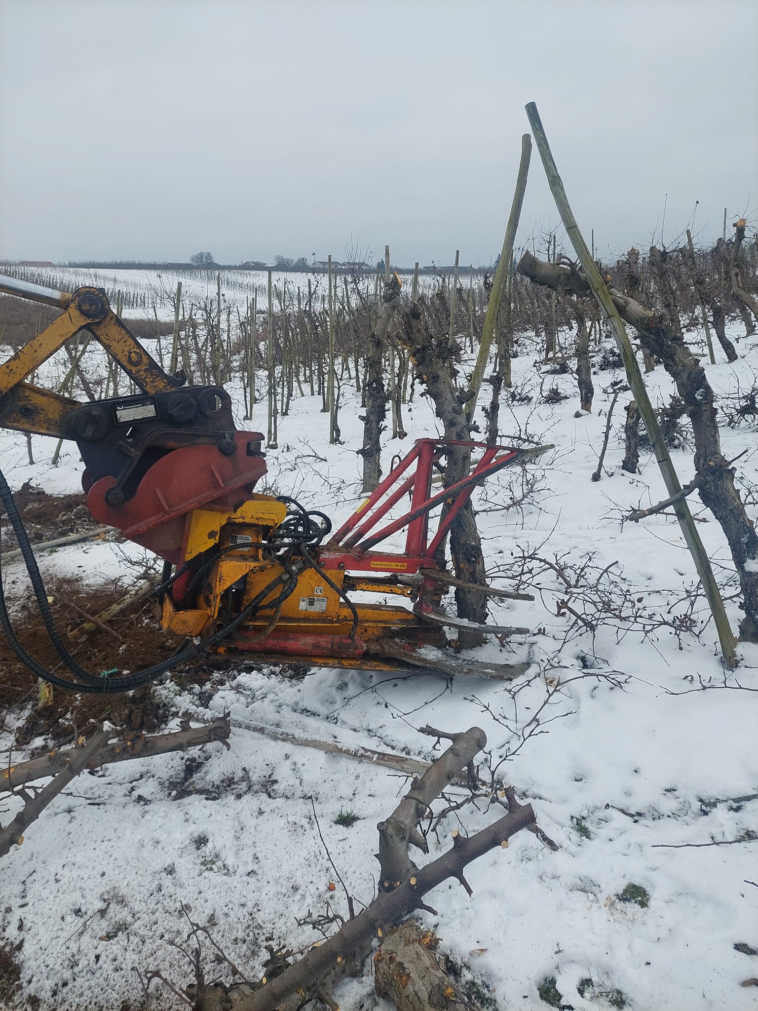 Wyrywanie drzew wyrywanie korzeni mulczer lesny agropark